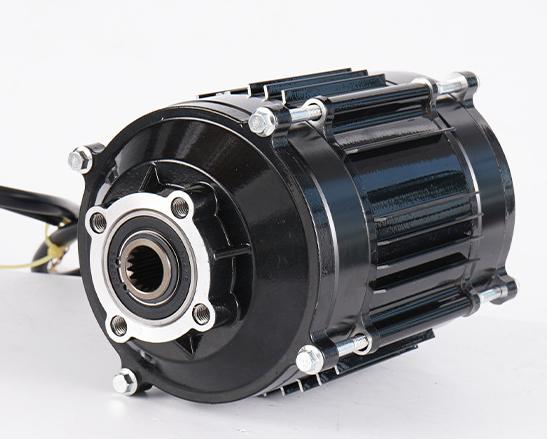 Động cơ truyền động trục xe bãi biển 1200W